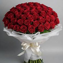 Букет 101 Красная роза Блэк Мэджик в Оредеж