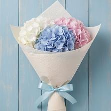 Букет цветов из:  Гортензия в Оредеж