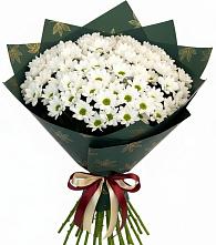 Букет цветов из:  Хризантемы в Оредеж