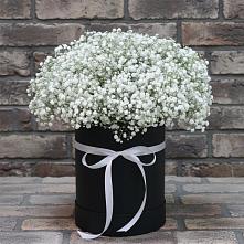Цветочная композиция из Гипсофила в шляпной коробке в Оредеж