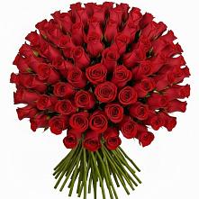 Букет Красные розы Чери Лав в Оредеж